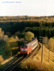 216 195 bei Ober-Ramstadt am 23.10.96 mit RE 3693 Darmstadt-Erbach